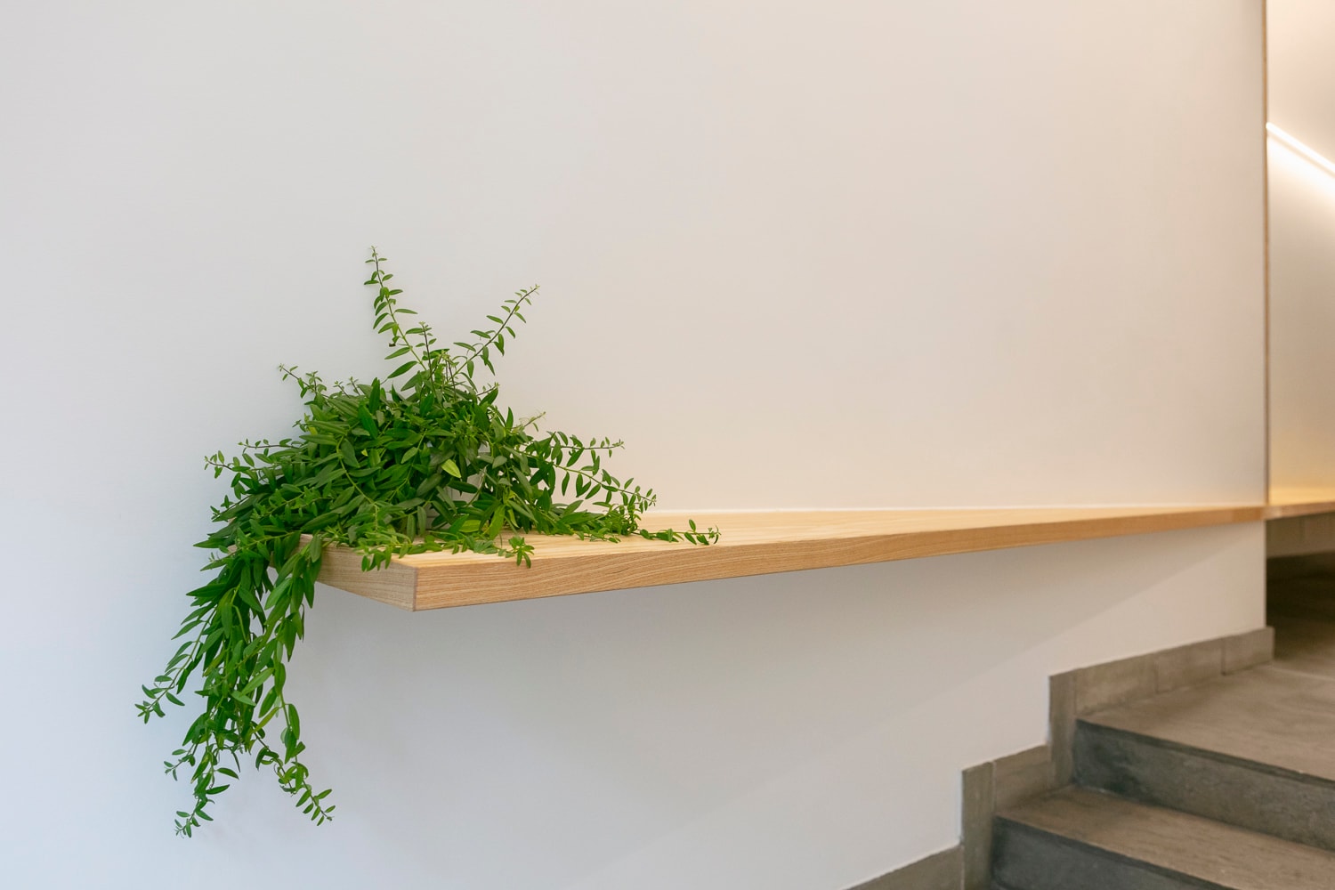 Interior of the Mondzorg waiting area